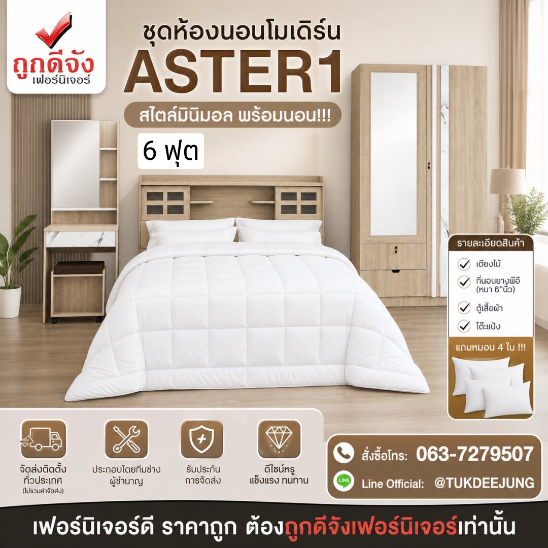 Aster1 (4)